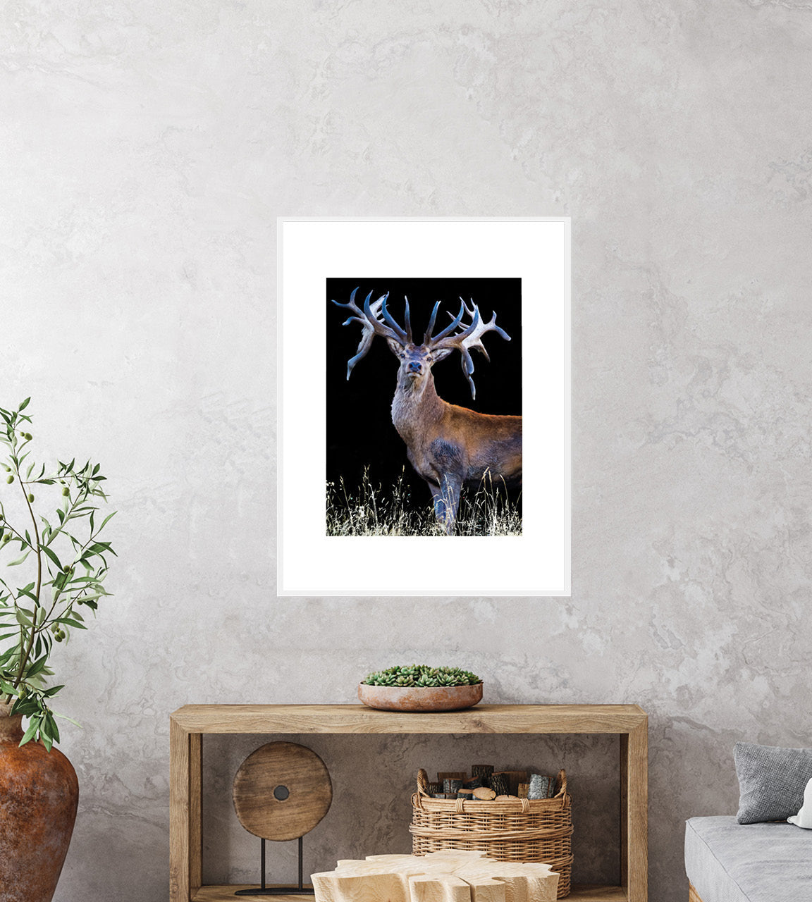 Red Stag photo wall print 