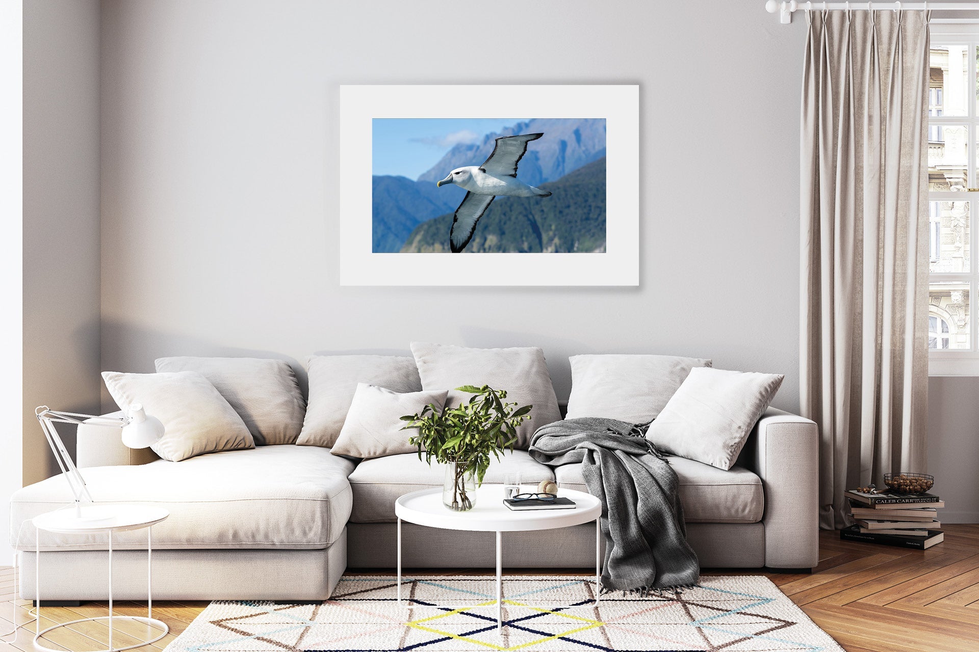 Fiordland Bullers Mollymawk