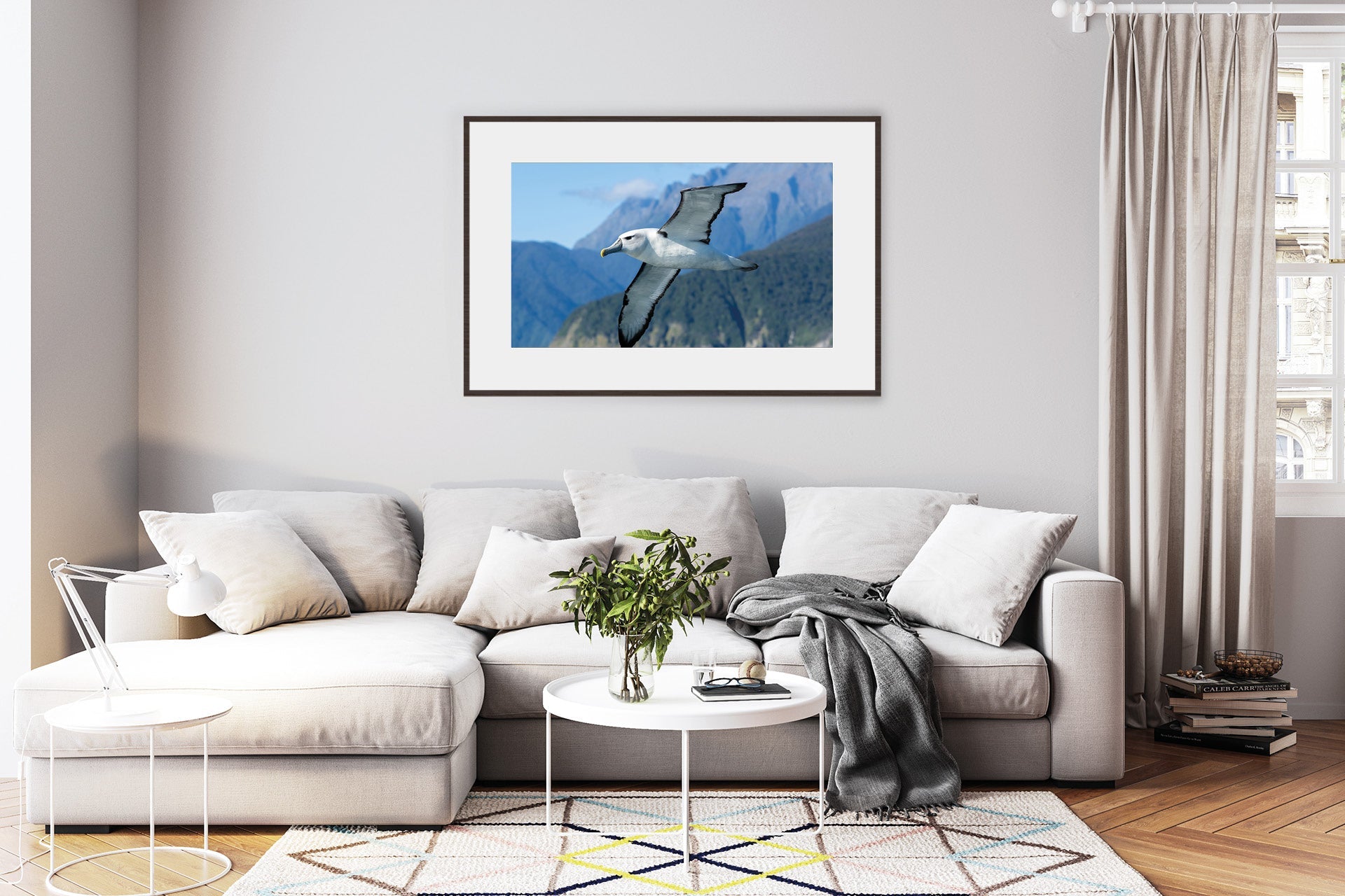 Fiordland Bullers Mollymawk
