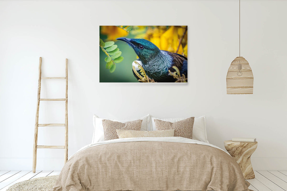 New Zealand Wildlife Tui Kowhai Flower Portrait fine art print by Steve Couper Photography | New Zealand Wildlife