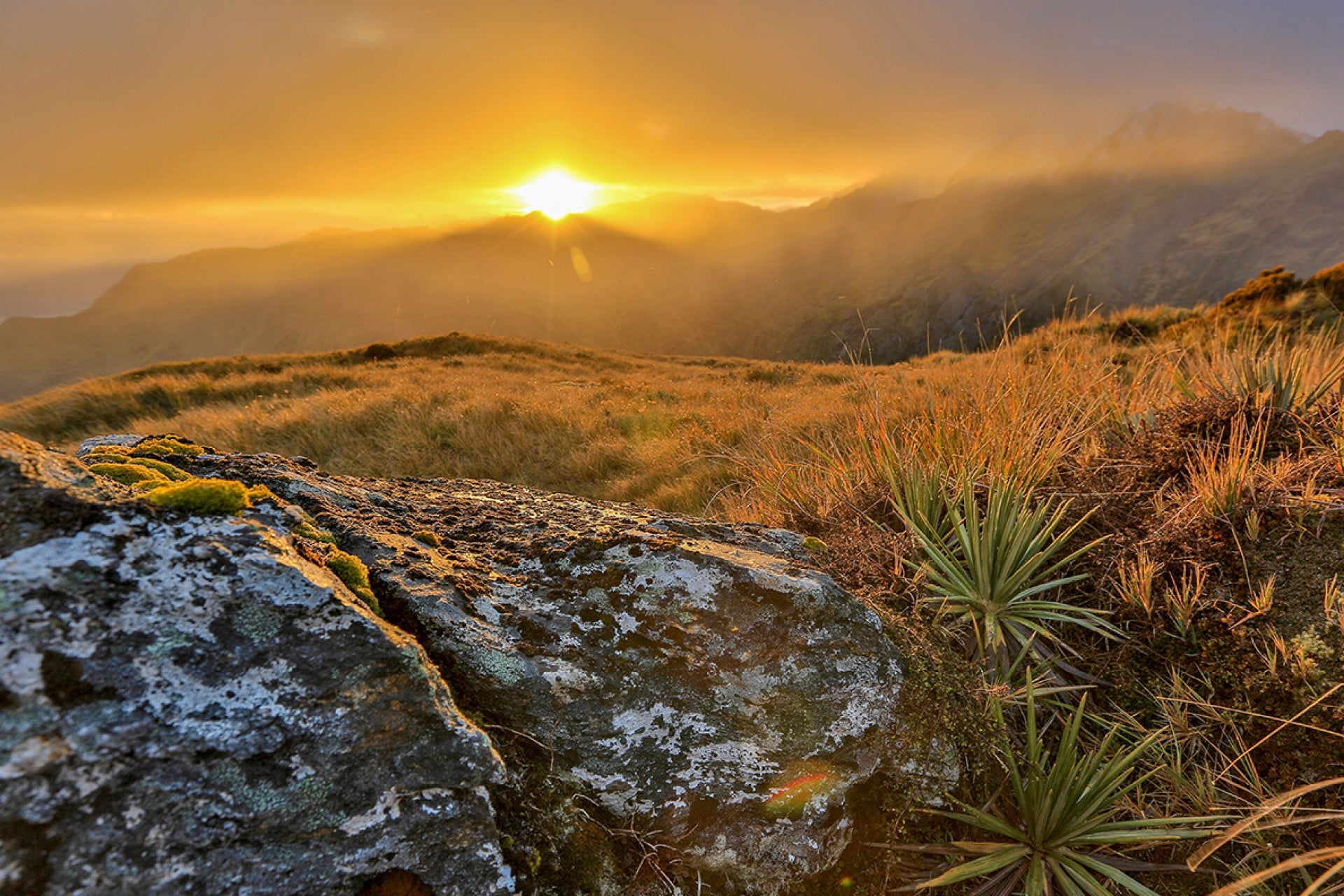 Gentle first light illuminating Franz Josef Glacier on New Zealand's West Coast, with soft speargrass amid short-lived fine weather, captured by photographer Steve Couper – ideal for nature seekers cherishing Aotearoa's serene beauty.