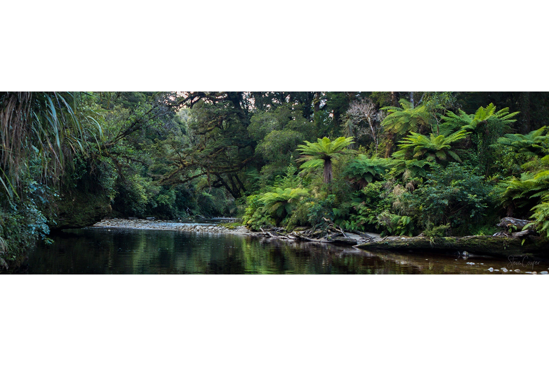 Verdant bush-clad river scenery in Karamea West Coast South Island New Zealand, with dense native forests hugging winding waters in Kahurangi National Park