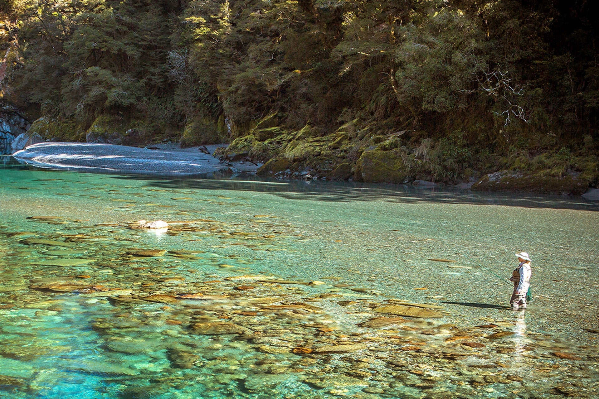 Stunning New Zealand backcountry mountain stream with deceptive clear waters teeming with trout, a joy to photograph and fish, urging protection – captured by photographer Steve Couper, ideal for Aotearoa's angling adventurers.